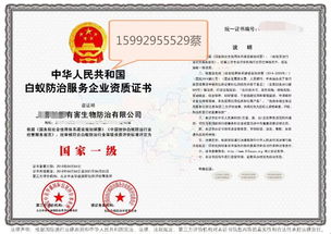 深圳教育咨詢服務(wù) 專業(yè)導(dǎo)航，助力學(xué)子與家庭的教育成長(zhǎng)之路