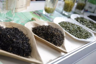 超贊！中山扶貧展銷會圓滿落幕，300余種特色農產品備受青睞，食用農產品初加工成焦點